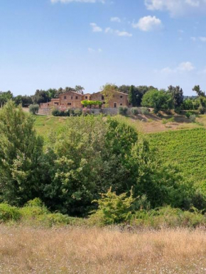 Podere Sole Trequanda